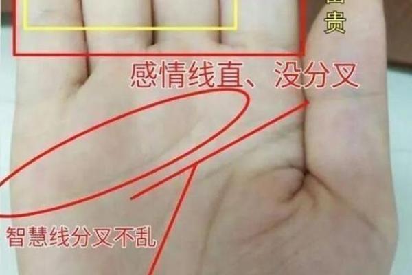 断掌手相算命说法及含义