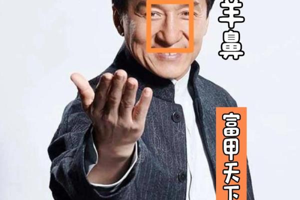 看紫薇斗数的人