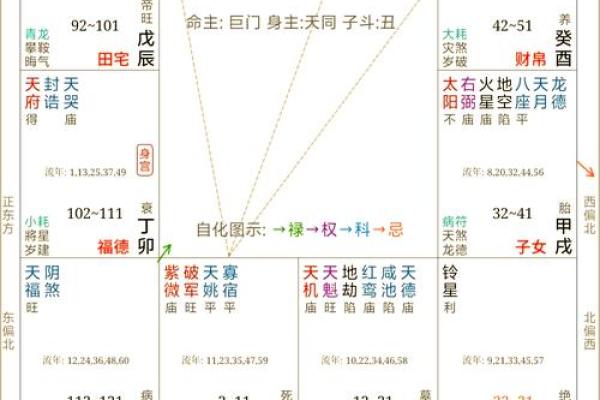紫薇斗数变动的意思 紫薇斗数变动的意思