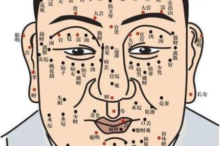 胸部痣相图解算命