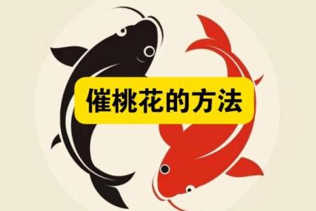 旺桃花风水，旺桃花运四大妙招