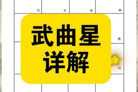 紫薇斗数中忌化解