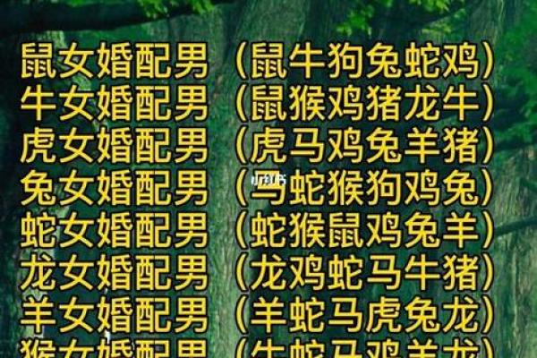 2000生人男的姻缘易奇八字