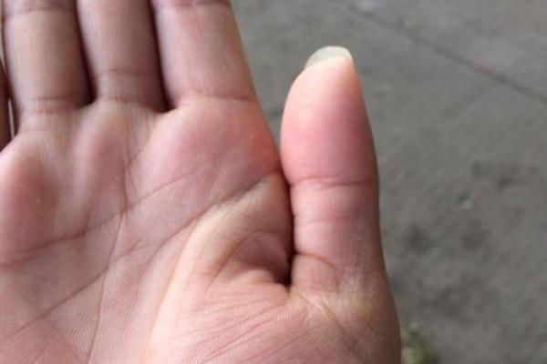 有谁知道宝应贸易城算命的地址 有谁知道宝应贸易城算命的地址