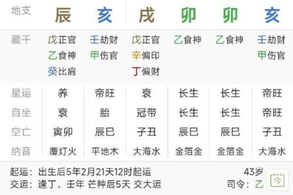 八字命盘中绿马是什么意思