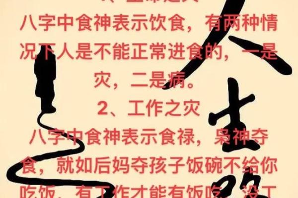 八字流年劫食是什么意思