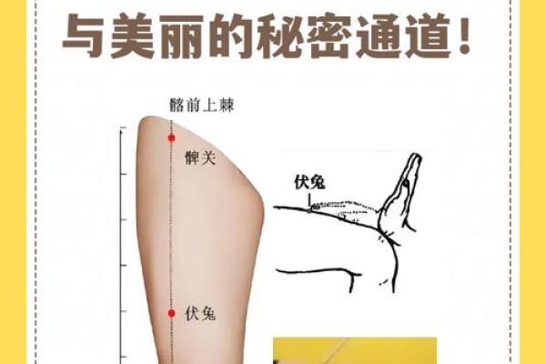 从人的腿部看相算命