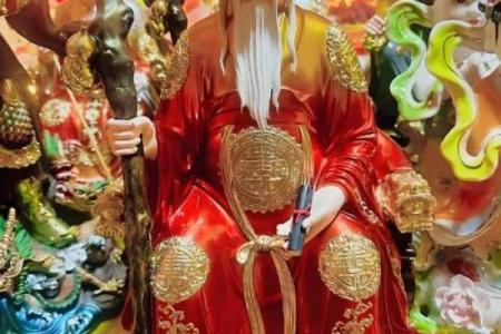 月老姻缘百度云盘下载资源 月老姻缘树是什么树？