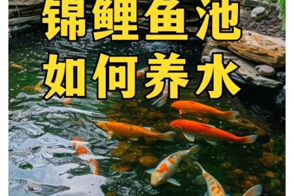 锦鲤风水_锦鲤养13条是什么意思