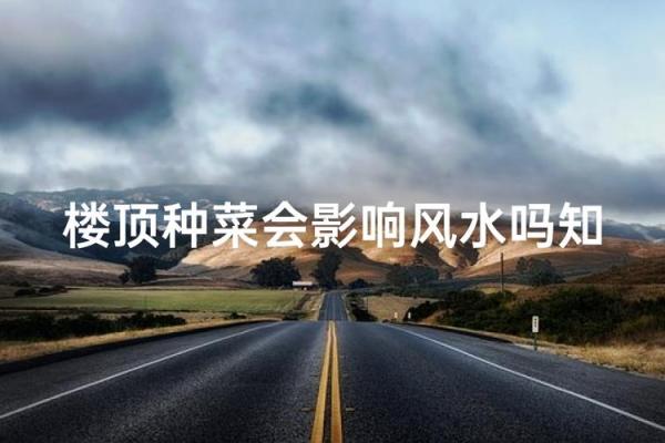 房子周围种菜有风水讲究吗 房子周围种菜有风水讲究吗