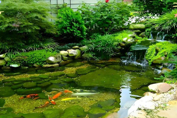 房子脚下建鱼池风水