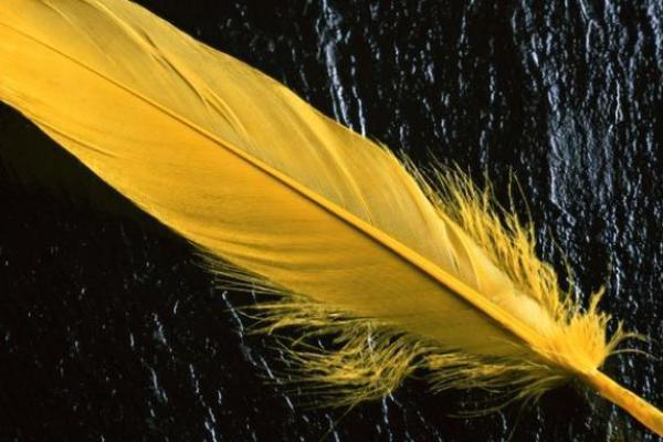 灵签占卜测你 灵签占卜测你