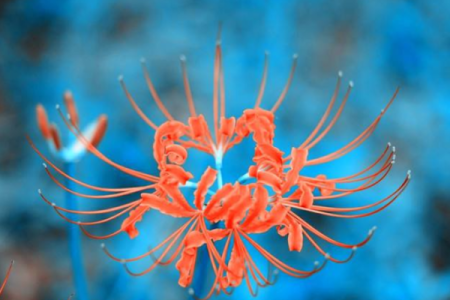 灵签占卜这几天惊喜是什么