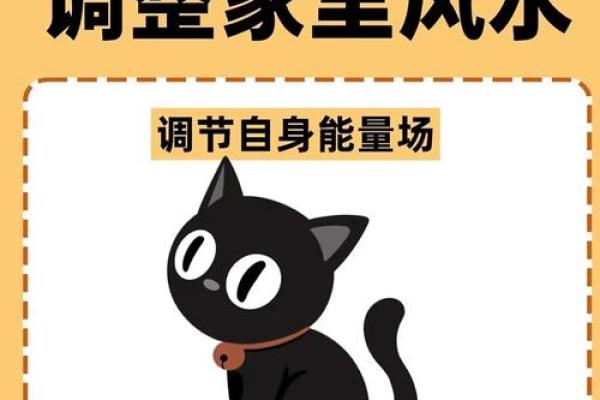 什么房子养猫更好风水好的