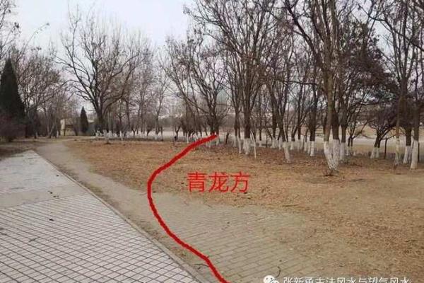 平原风水_你能晒一晒给大家分享吗