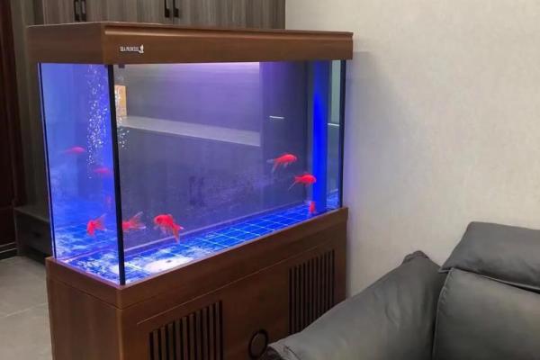 客厅放鱼缸的最佳位置风水摆放哪里 客厅放鱼缸的最佳位置风水摆放哪里
