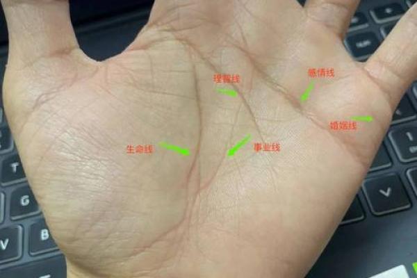 风水生命线分叉代表什么好不好