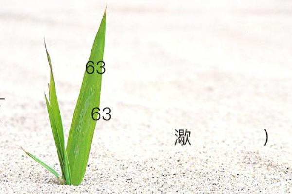 香港黄大仙灵签63 香港黄大仙灵签63