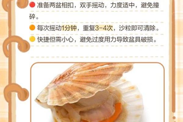 哪种贝壳风水作用