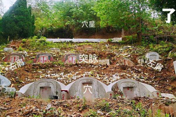 好风水坟地有什么特征