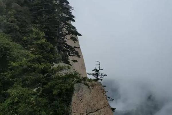 签灵爷爷山神六十五签 签灵爷爷山神六十五签