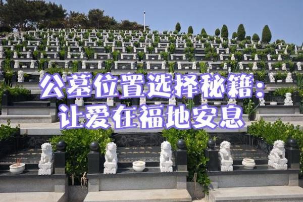 公墓风水怎么看