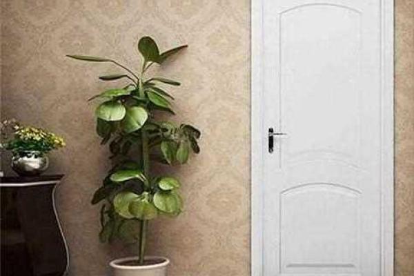 风水最旺的房子颜色有哪些 风水最旺的房子颜色有哪些