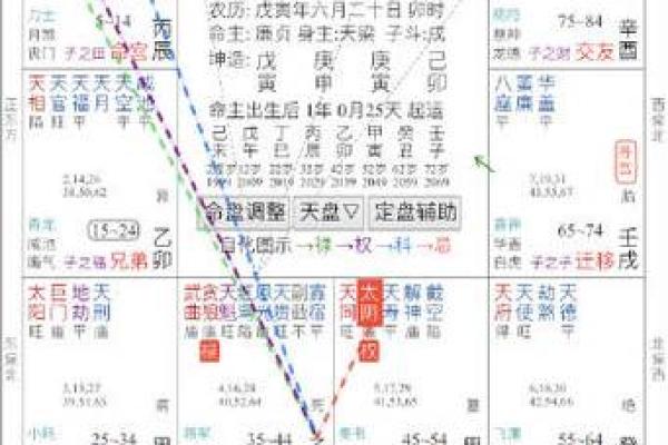 紫薇斗数中的孤星独守