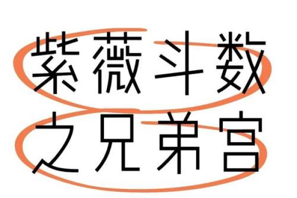 紫薇斗数紫薇在兄弟