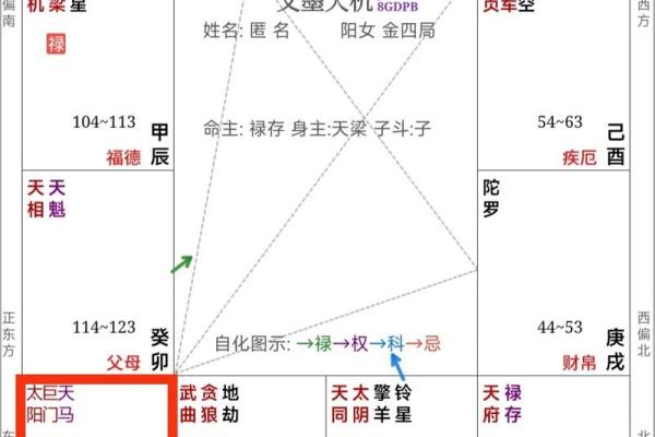 紫微斗数里怎样查小限视频 紫微斗数如何看大限？