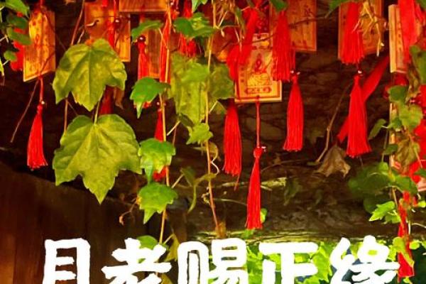 月老灵签姻73缘签 月老灵签姻73缘签