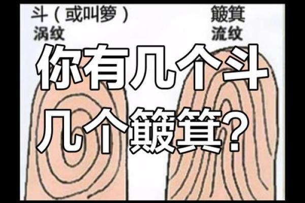 手指斗算命 手上有几个斗适合当老板