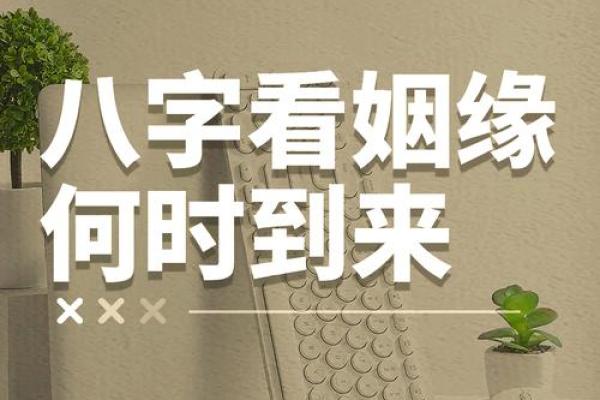 算两个人的姻缘算命免费算