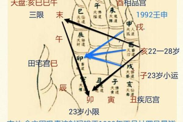 一掌经算命实例 一掌经算命实例