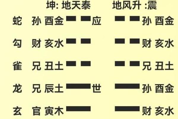 白虎在八字中代表什么意思 白虎八字代表何意 白虎在八字中代表什么意思 白虎八字代表何意
