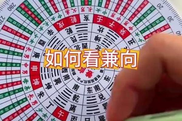 丙山壬向八运风水 丙山壬向八运风水