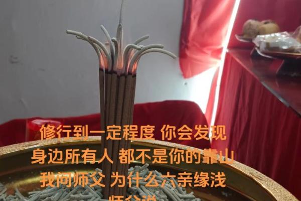 仙人灵签用不了了 仙人灵签用不了了