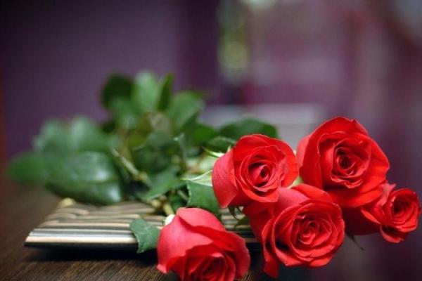 友谊缘分测试 友情缘分测试？