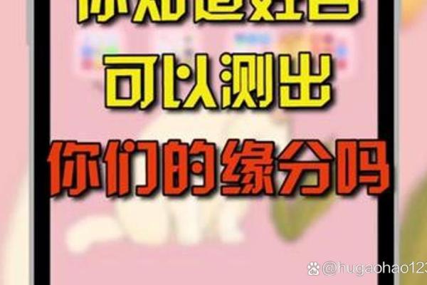 姓名配对测两人未来 姓名配对测试两人未来？