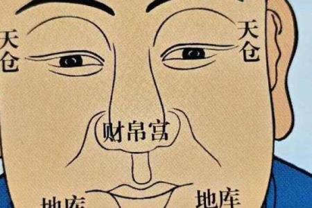 风水上发际线高有福气发际线图片