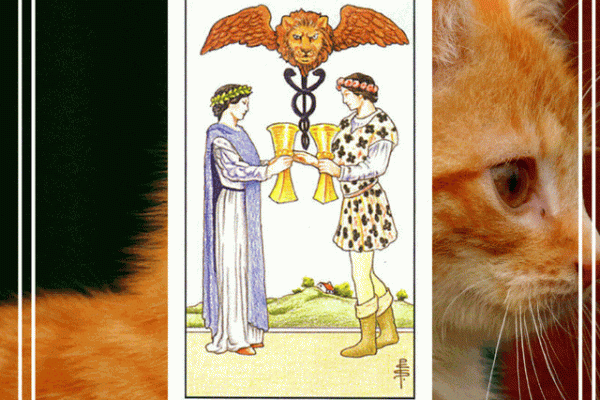 塔罗测试:这个冬季你会遇到什么好事? 塔罗测试:这个冬季你会遇到什么好事?