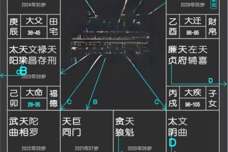 紫薇斗数事业详细解释
