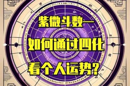 四化紫薇斗数招生
