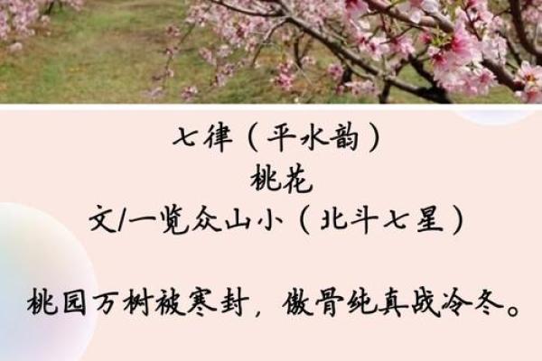 紫薇斗数流年桃花 紫薇斗数流年桃花