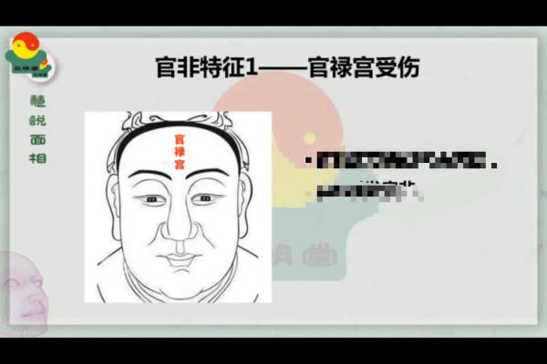 紫薇斗数的官禄宫