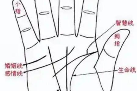 手型算命：兼型手人的性格与命运