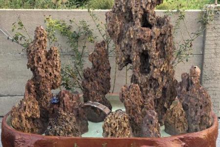 天人合一：人为改造风水的主要方法和结果