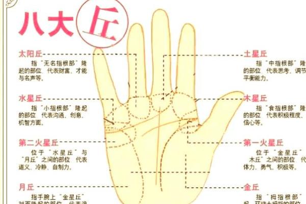 女人的事业线止于感情线命运如何风水 女人的事业线止于感情线命运如何风水