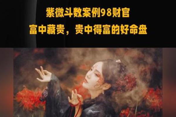 紫薇斗数偏财运好 紫薇斗数偏财运好