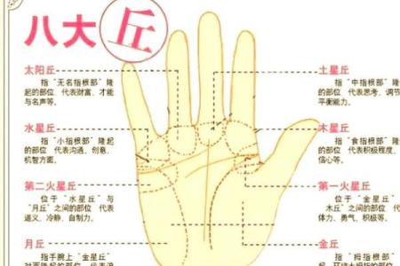 女人的事业线止于感情线命运如何风水